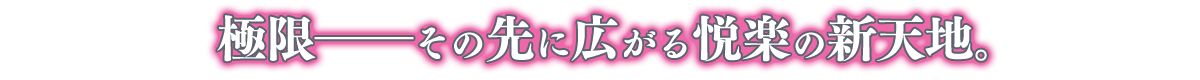 新世紀痴漢ADV